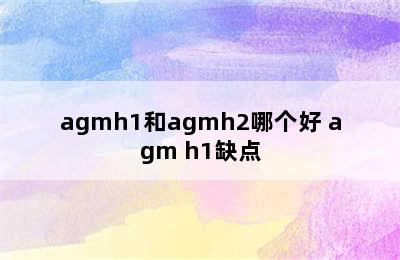 agmh1和agmh2哪个好 agm h1缺点